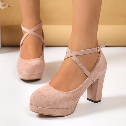 Celine Suede Pumps