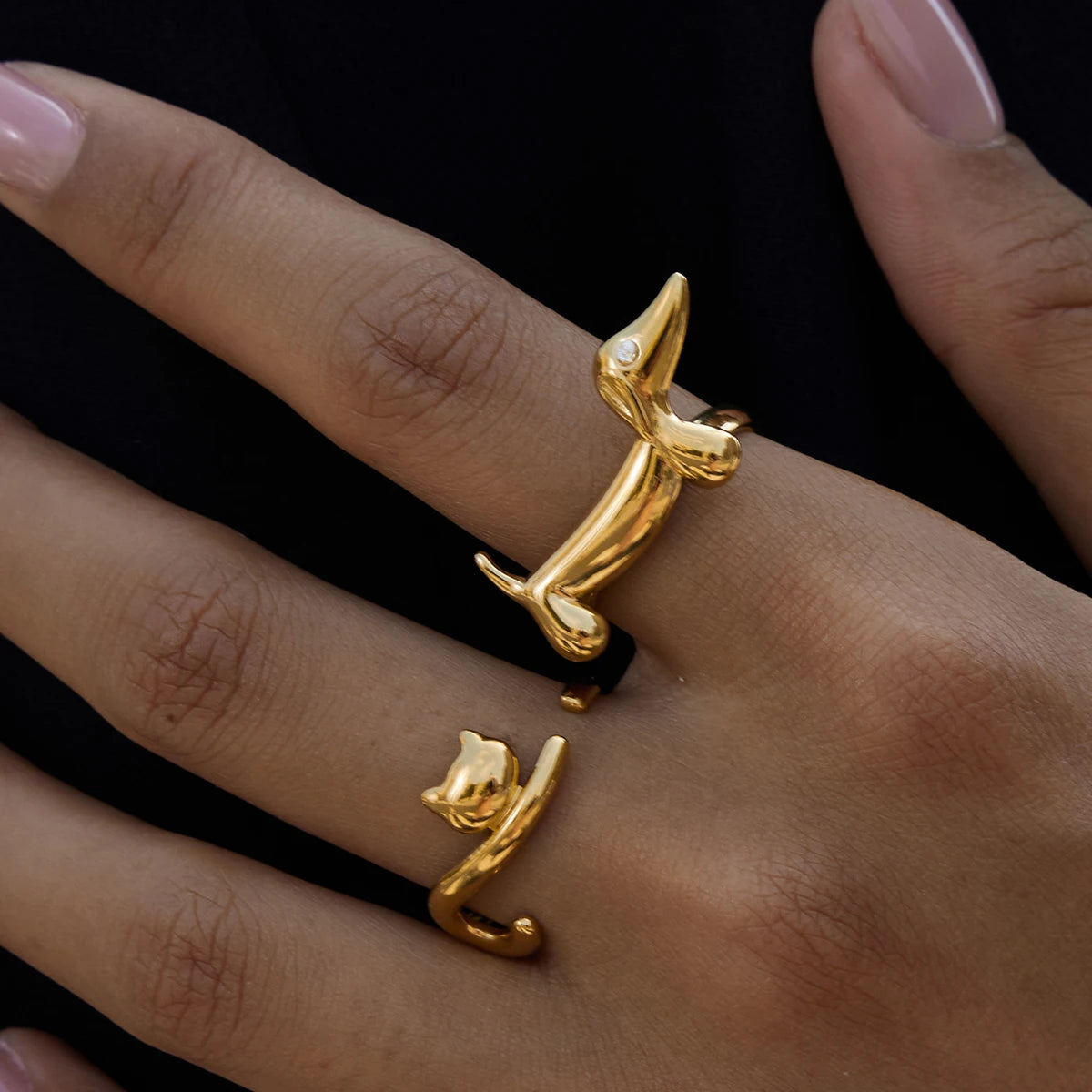 The Arc & Paw Collection