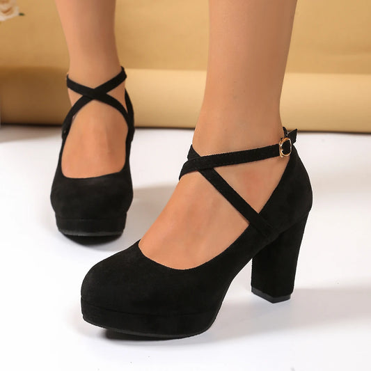 Celine Suede Pumps