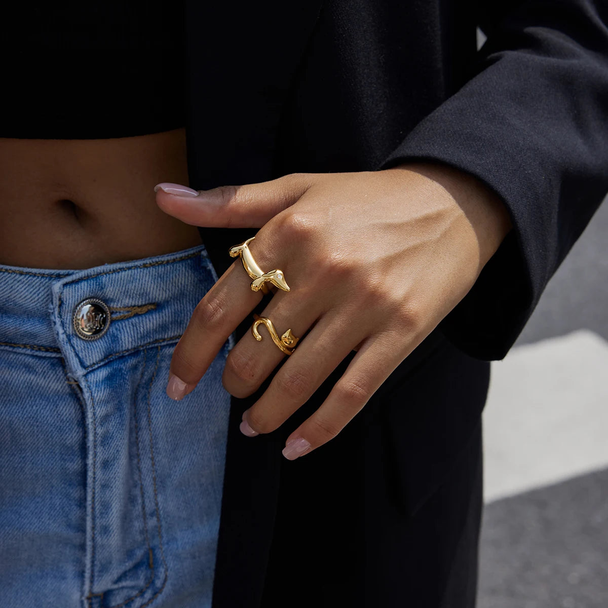 The Arc & Paw Collection