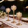 Grandeur Glass Candle Holders